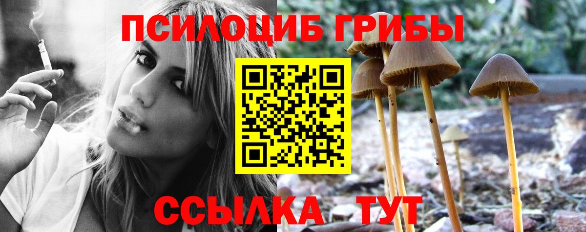 Псилоцибиновые грибы GOLDEN TEACHER Саянск